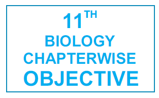 Wings Competent Academy